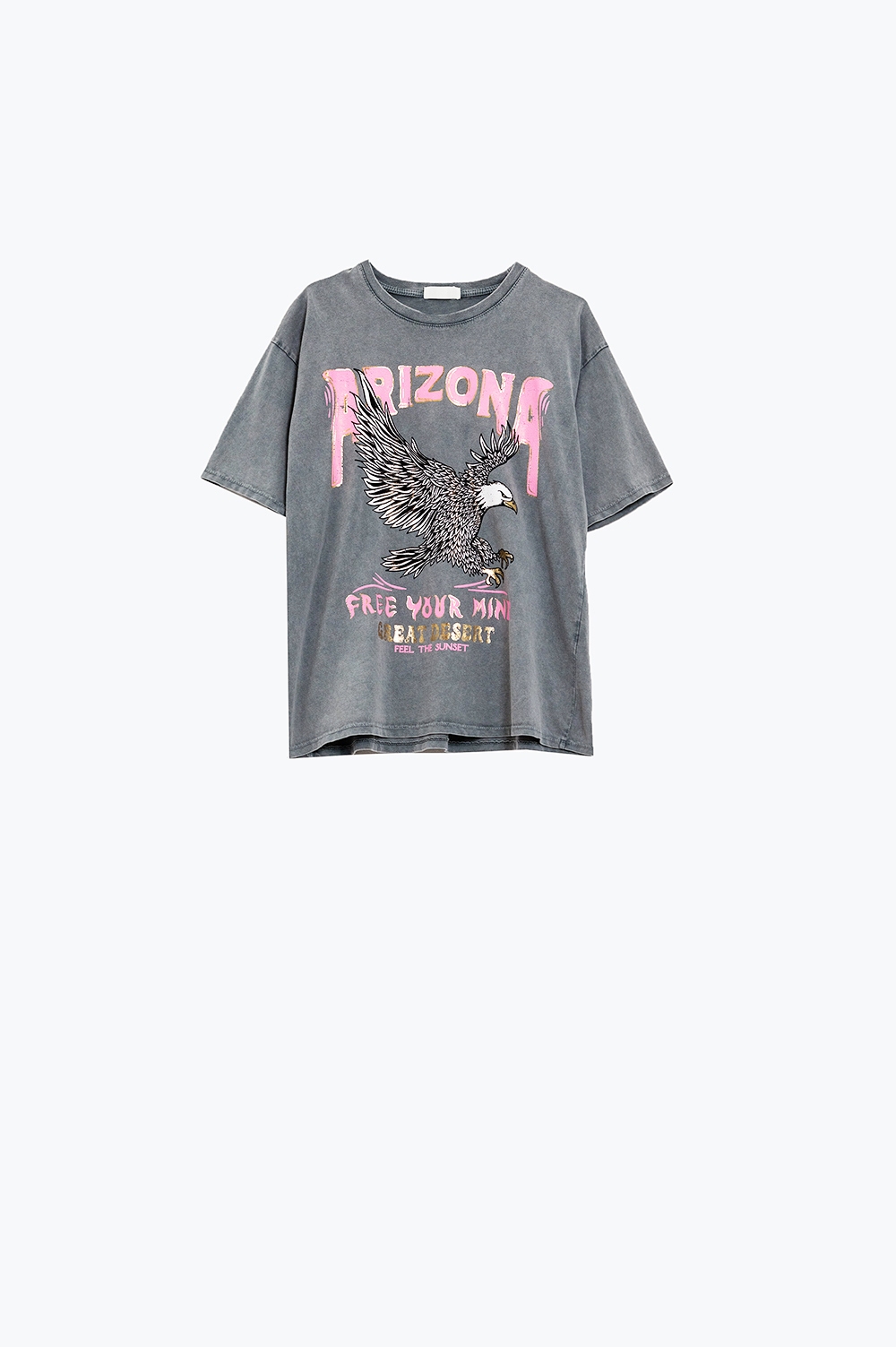 Camiseta Arizona con estampado digital de &aacute;guilas en gris